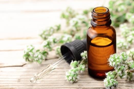 Huile essentielle Marjolaine à coquille