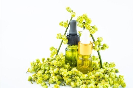 Huile essentielle de Verveine Exotique ou Litsée Citronnée