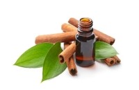Huile essentielle de Cannelle de Chine