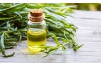 Huile essentielle Estragon