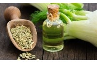 Huile essentielle de Fenouil