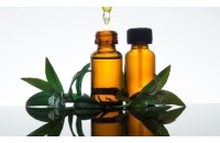 Huile essentielle de Myrte