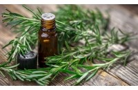 Huile essentielle Romarin à camphre