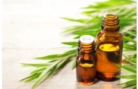 Huile essentielle Tea Tree